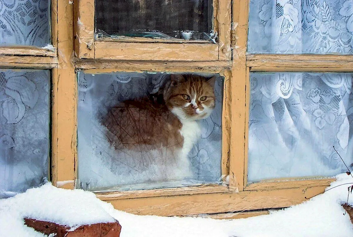 Зимнее окно
