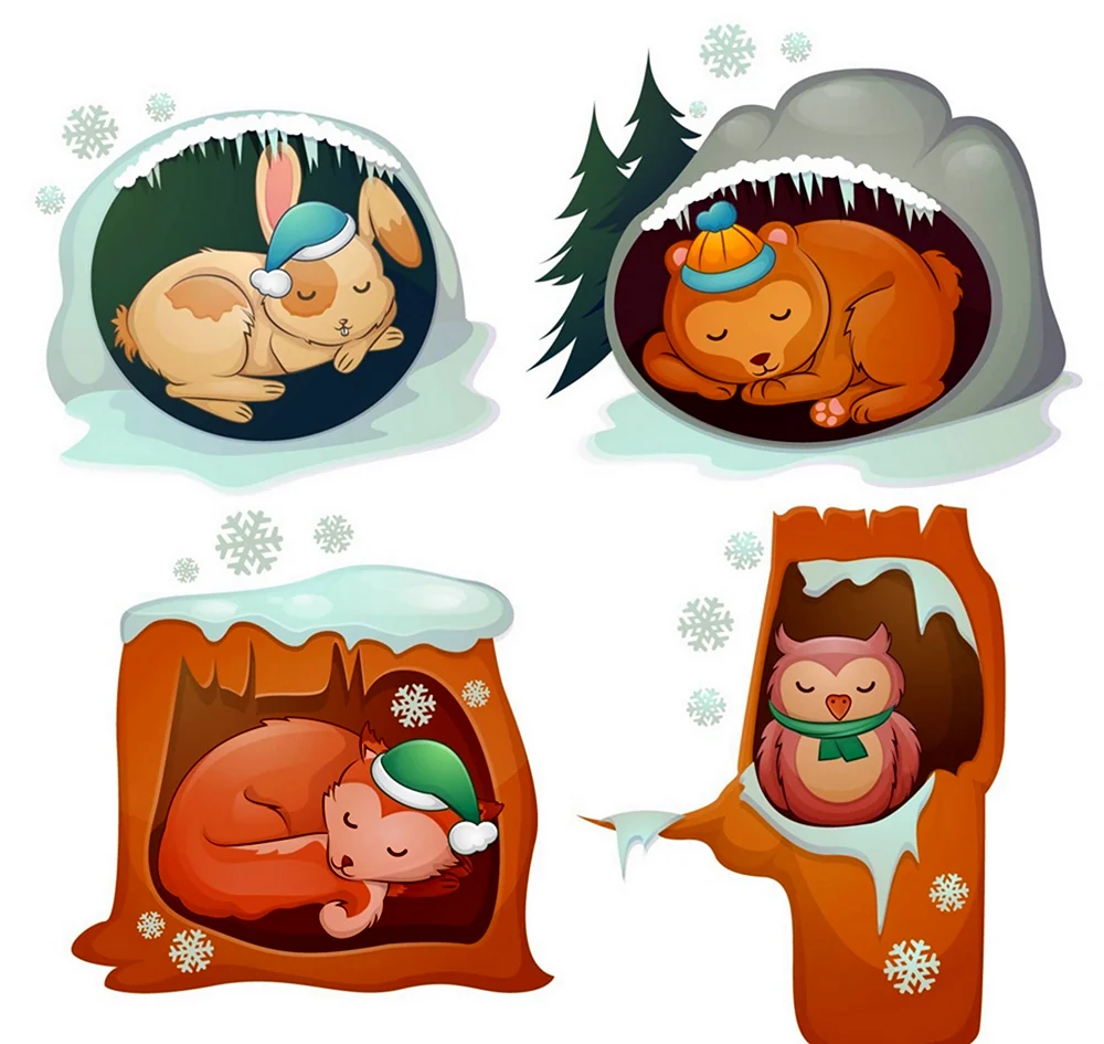 Зимняя спячка животных