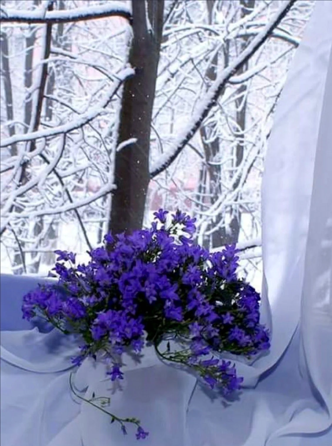 Зимние цветы