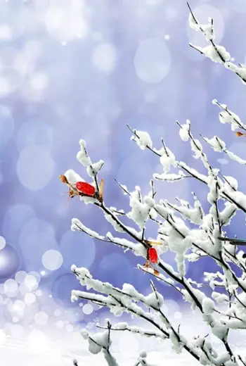 Зимний фон с птицами