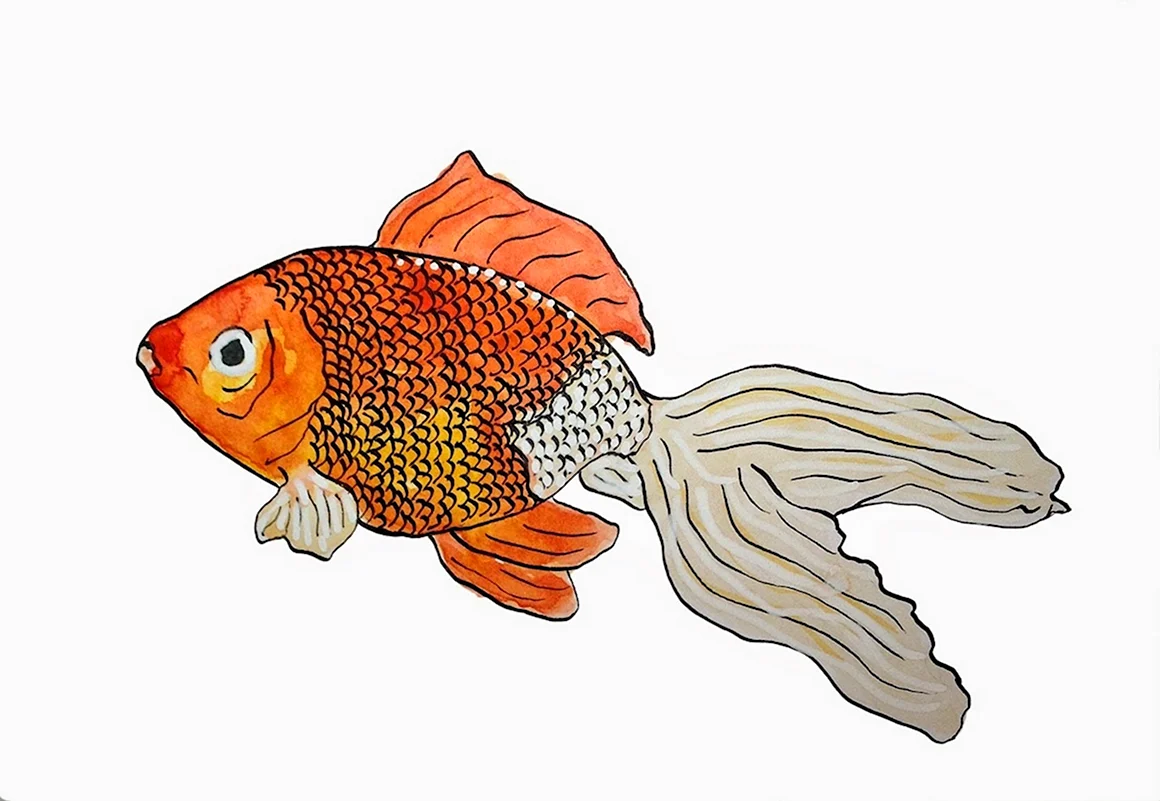 Золотая рыбка картинка для детей без фона