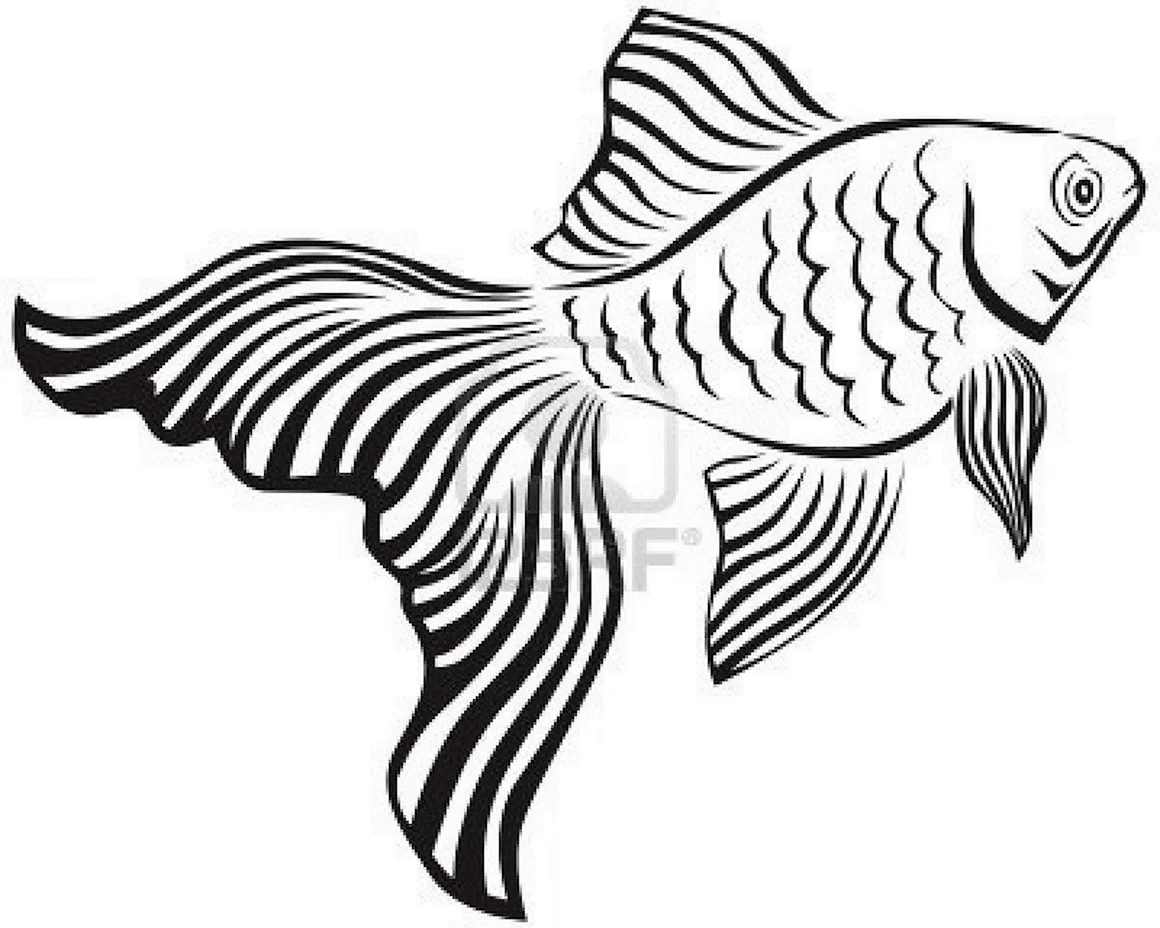 Золотая рыбка очертание