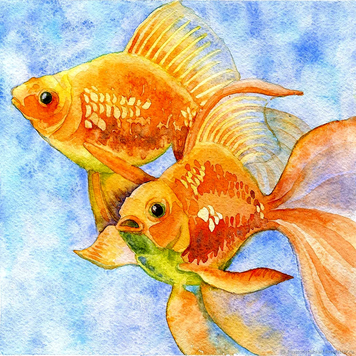 Золотая рыбка референс